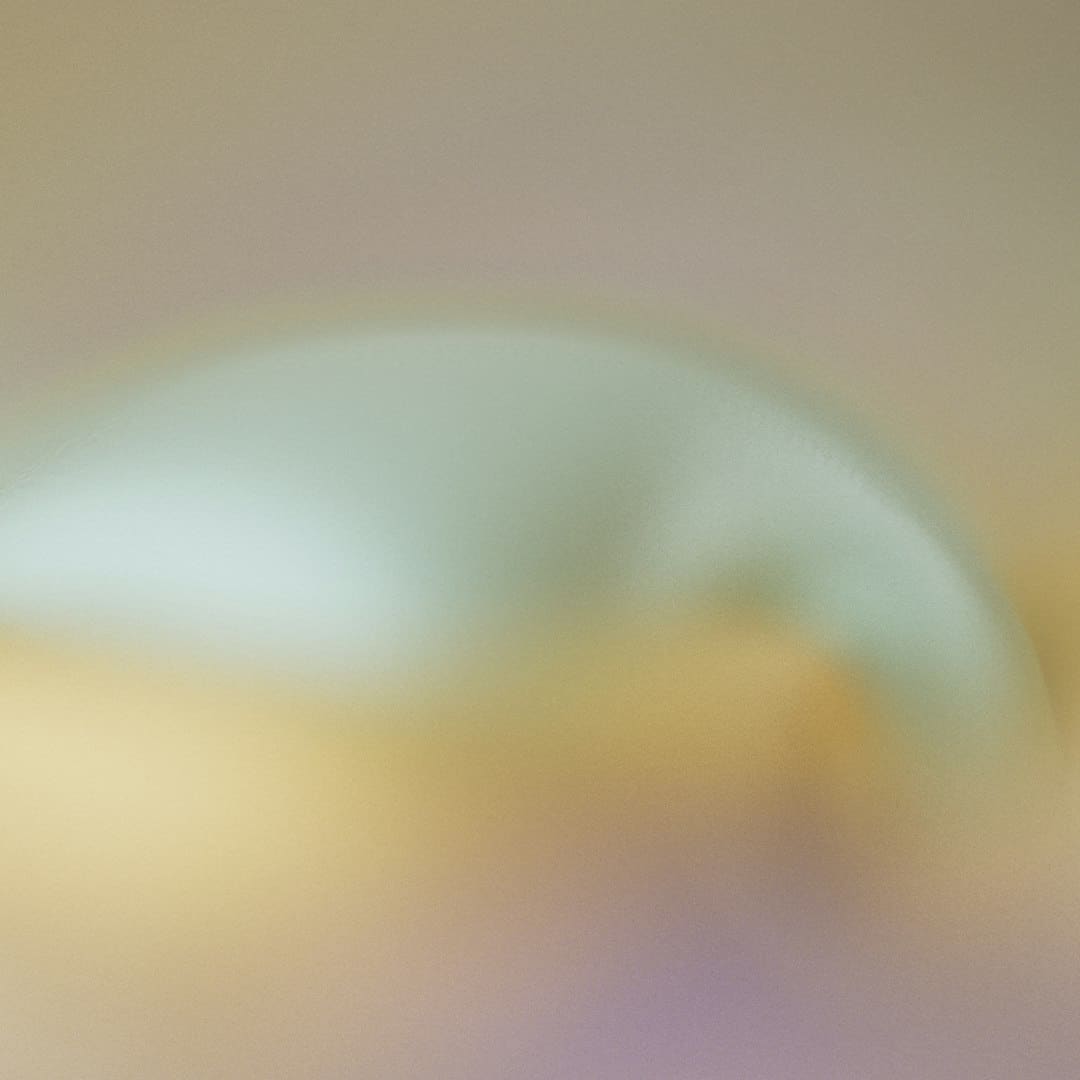 《献鱼》原著神交是什么意思？